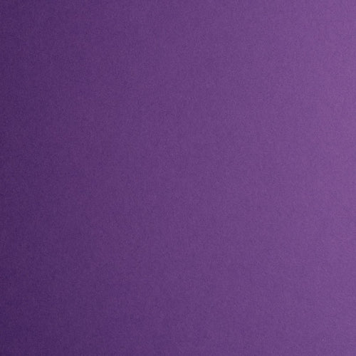 Purple - Colorplan